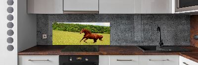 Kitchen splashback Horse on the meadow