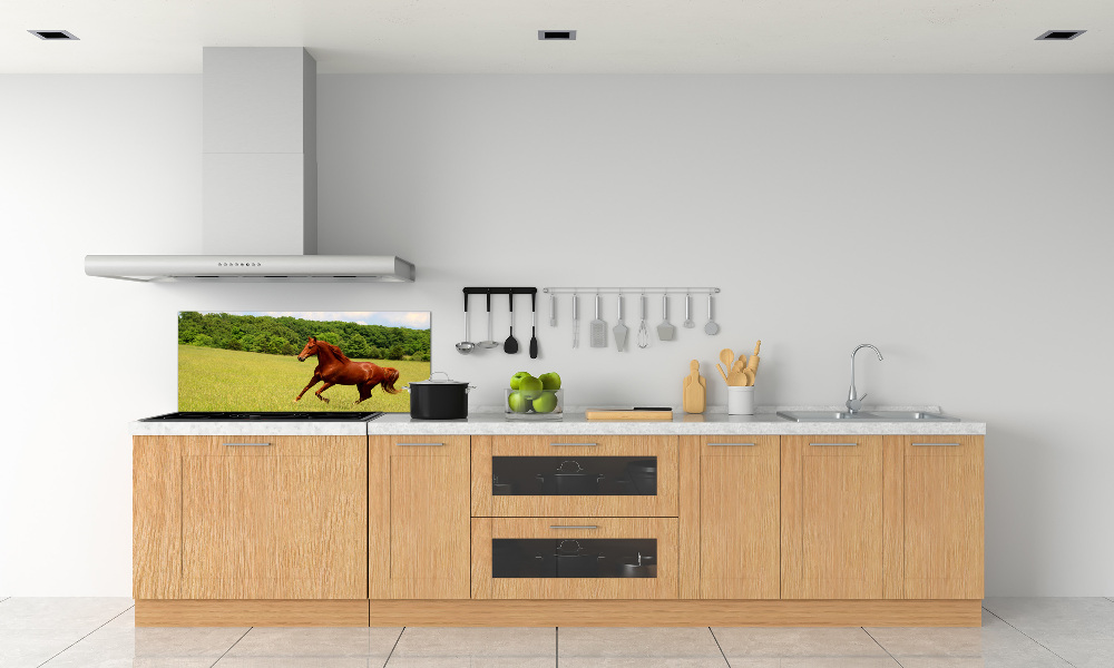 Kitchen splashback Horse on the meadow