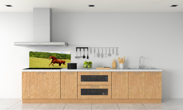 Kitchen splashback Horse on the meadow