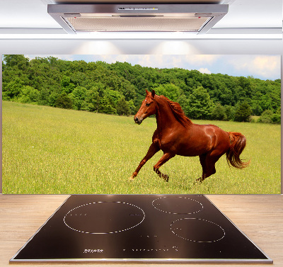 Kitchen splashback Horse on the meadow