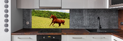 Kitchen splashback Horse on the meadow