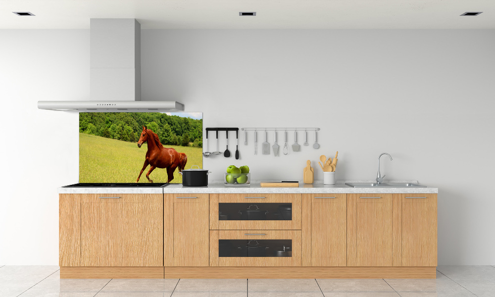 Kitchen splashback Horse on the meadow