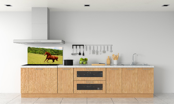 Kitchen splashback Horse on the meadow