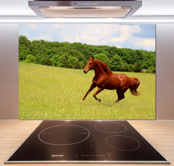 Kitchen splashback Horse on the meadow