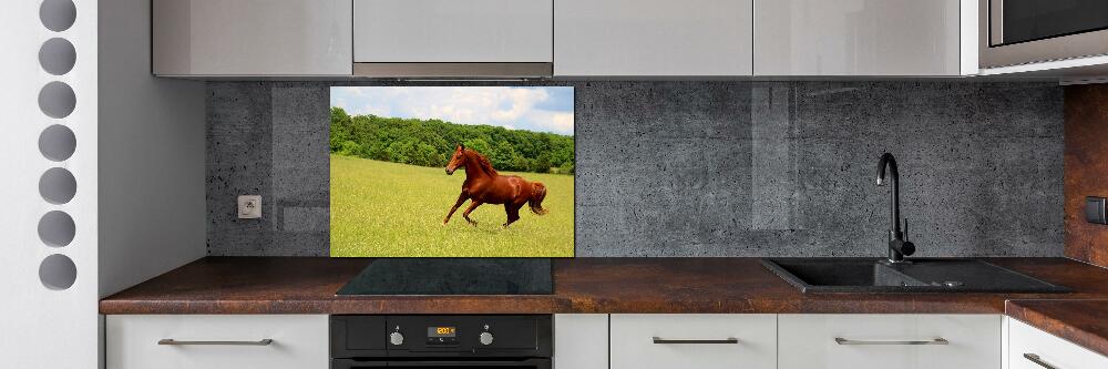 Kitchen splashback Horse on the meadow