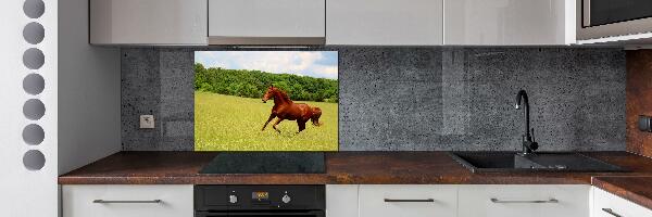 Kitchen splashback Horse on the meadow