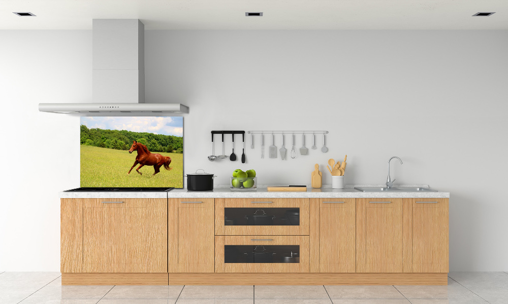 Kitchen splashback Horse on the meadow