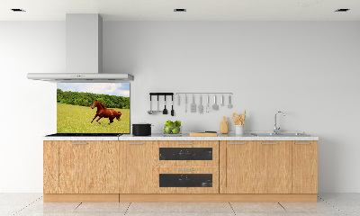 Kitchen splashback Horse on the meadow