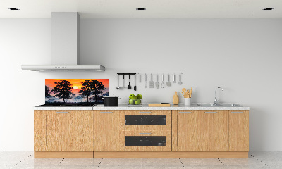 Kitchen splashback panel Sunset forest