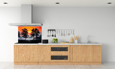 Kitchen splashback panel Sunset forest