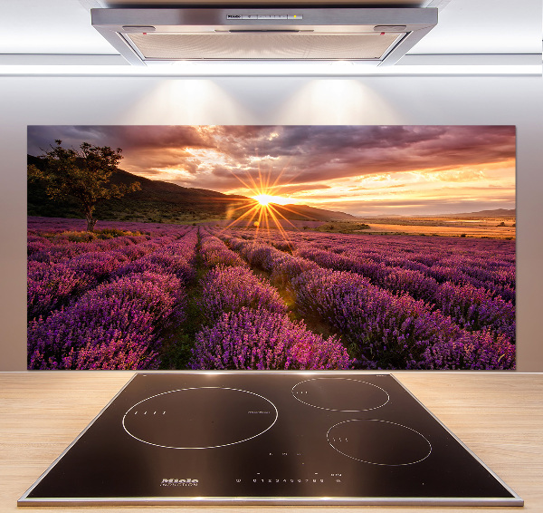 Kitchen splashback Lavender field