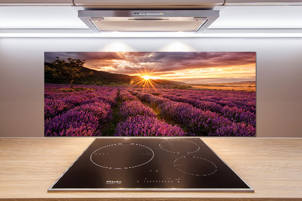 Kitchen splashback Lavender field