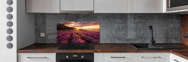 Kitchen splashback Lavender field