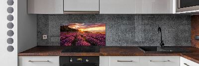 Kitchen splashback Lavender field