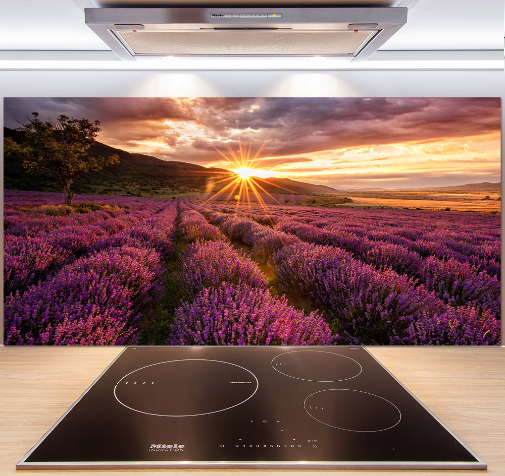 Kitchen splashback Lavender field