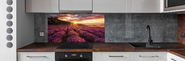 Kitchen splashback Lavender field