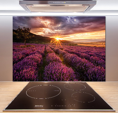 Kitchen splashback Lavender field