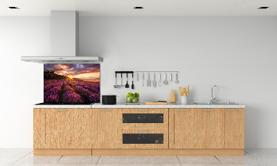 Kitchen splashback Lavender field