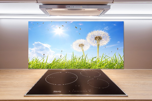 Kitchen wall panels dandelions