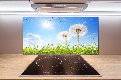 Kitchen wall panels dandelions