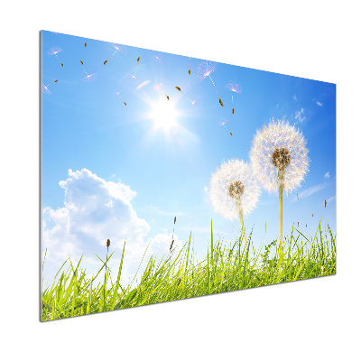 Kitchen wall panels dandelions