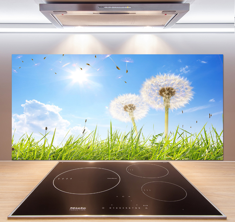 Kitchen wall panels dandelions