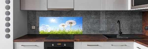 Kitchen wall panels dandelions