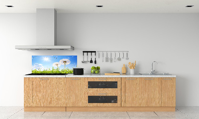 Kitchen wall panels dandelions