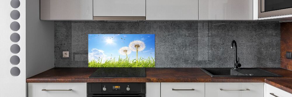 Kitchen wall panels dandelions