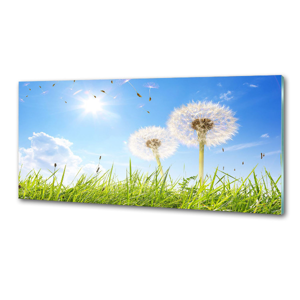 Kitchen wall panels dandelions