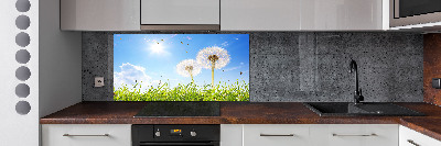 Kitchen wall panels dandelions