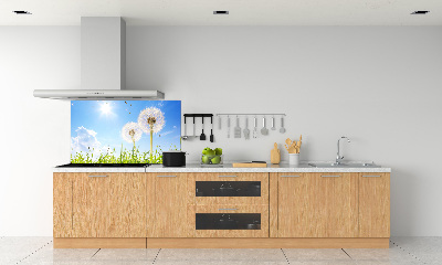 Kitchen wall panels dandelions