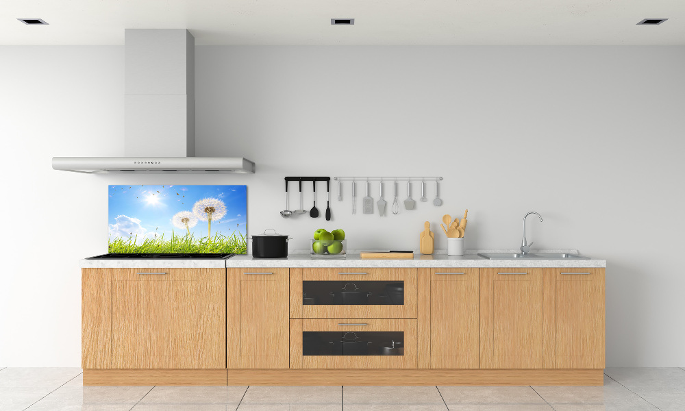 Kitchen wall panels dandelions