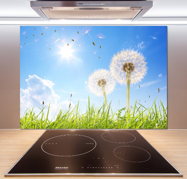 Kitchen wall panels dandelions