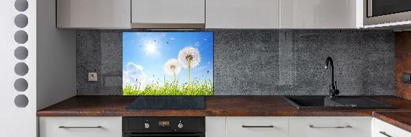 Kitchen wall panels dandelions