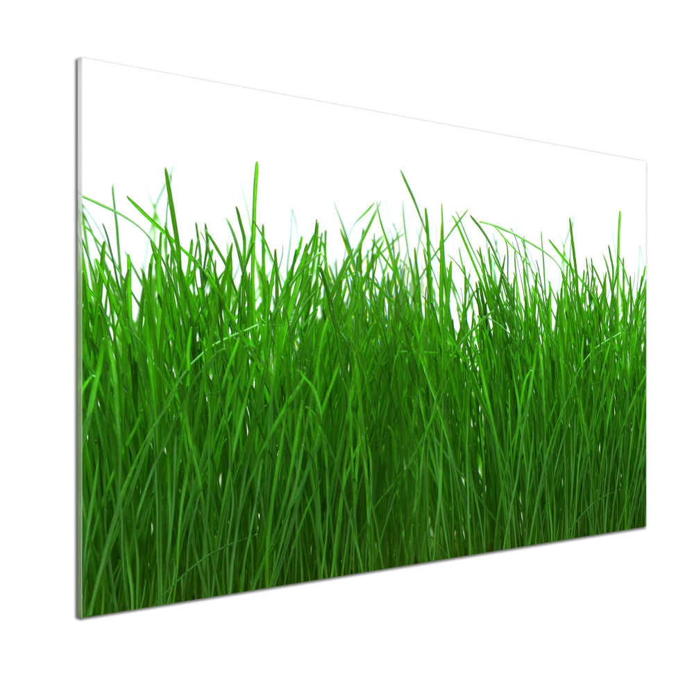 Kitchen wall panels Grass