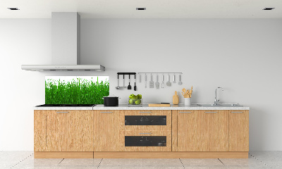 Kitchen wall panels Grass