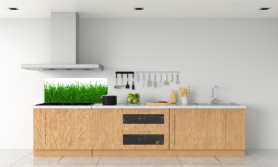 Kitchen wall panels Grass