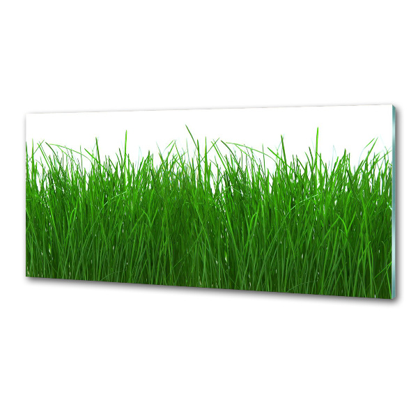 Kitchen wall panels Grass