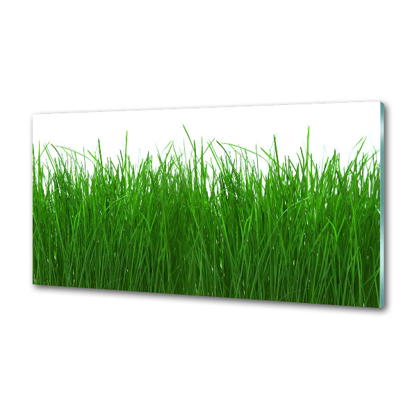 Kitchen wall panels Grass