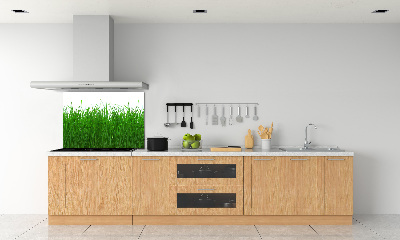 Kitchen wall panels Grass