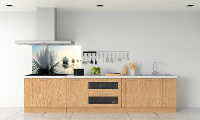 Kitchen wall panels Flight