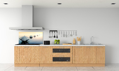 Kitchen splashback Lotos flowers