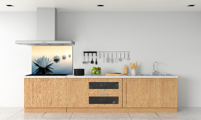 Kitchen splashback Lotos flowers