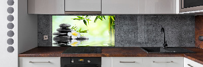 Hob splashback Plumeria and bamboo