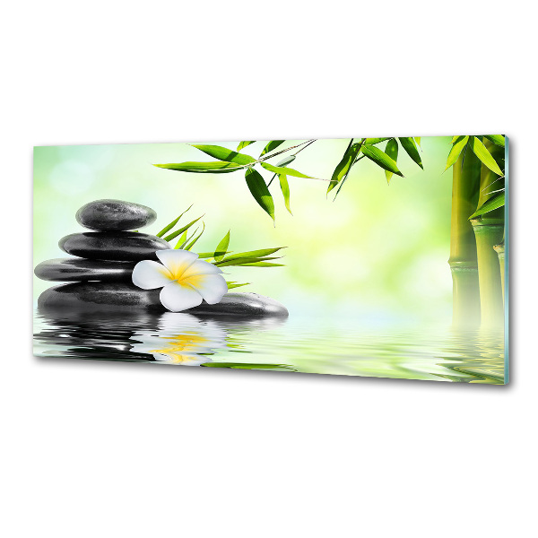 Hob splashback Plumeria and bamboo