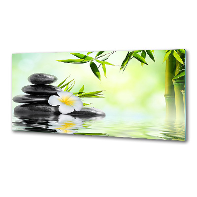 Hob splashback Plumeria and bamboo