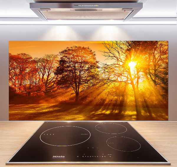 Kitchen splashback Sunset