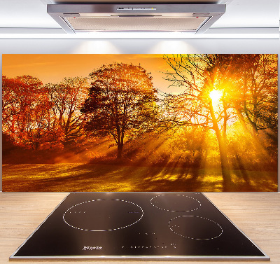 Kitchen splashback Sunset