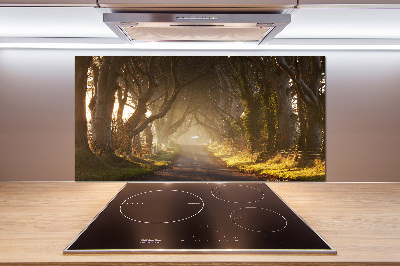 Kitchen splashback Fog in the forest